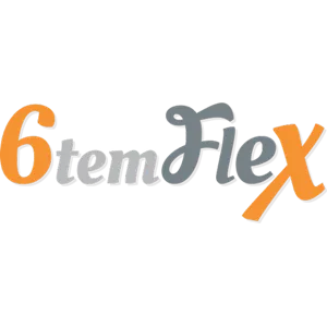 6Temflex Avis Tarif logiciel Création de Sites Internet