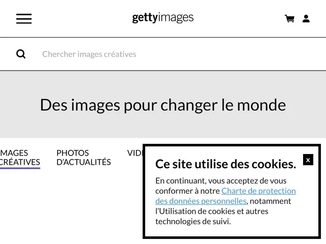 Tarifs Getty Images Avis outil de marketplace de contenu