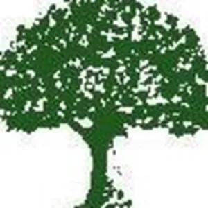 Igreentree Avis Tarif logiciel de suivi des candidats (ATS - Applicant Tracking System)