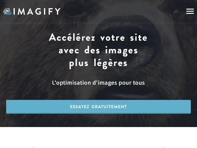 Tarifs Imagify Avis logiciel pour optimiser une image - compresser une image