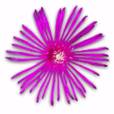 Avis Cogilog Temps: le logiciel de gestion des temps et activités (GTA: time tracking / pointage / badgeuse) en test: Comparez ses fonctionnalités