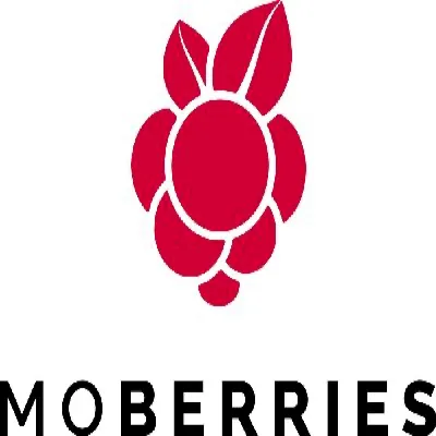 Avis MoBerries: le logiciel de recrutement en test: Comparez ses fonctionnalités