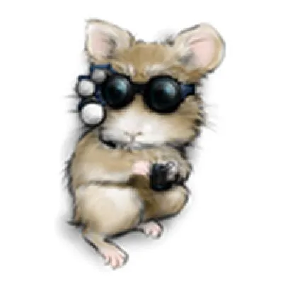 Avis Observium: le logiciel de supervision réseau en test: Comparez ses fonctionnalités