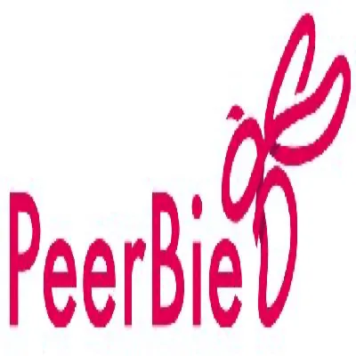 Avis PeerBie: le logiciel collaboratif en test: Comparez ses fonctionnalités