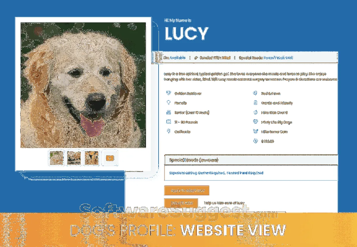Buzz to the Rescues : test de l'interface de ce logiciel pour services à la personne pour entreprise Buzz to the Rescues : test de l'interface de ce logiciel pour services à la personne pour entreprise