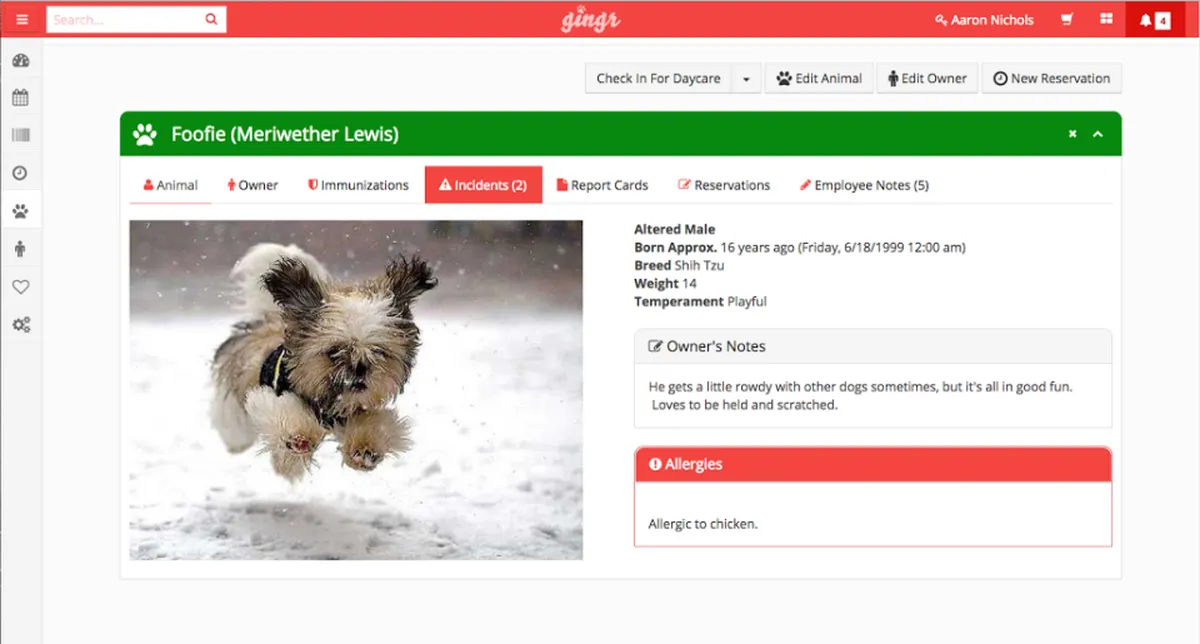 Gingr : test de l'interface de ce logiciel pour garde d'animaux pour entreprise Gingr : test de l'interface de ce logiciel pour garde d'animaux pour entreprise