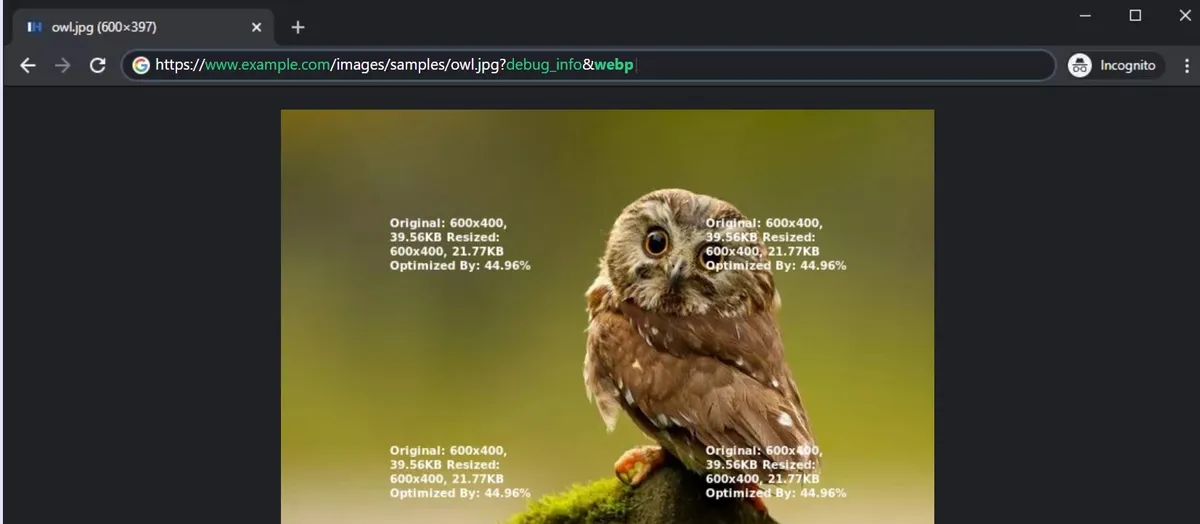 IMGHaste : test de l'interface de ce logiciel de retouche photo / édition d'image pour entreprise IMGHaste : test de l'interface de ce logiciel de retouche photo / édition d'image pour entreprise
