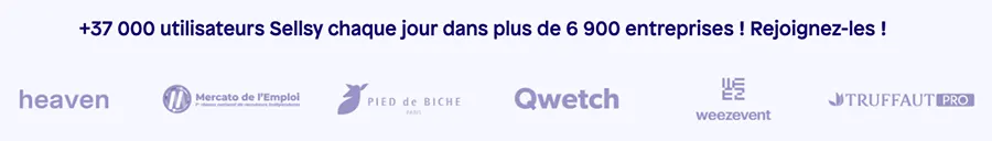 Sellsy Facturation et Gestion : références clients Sellsy Facturation et Gestion : références clients